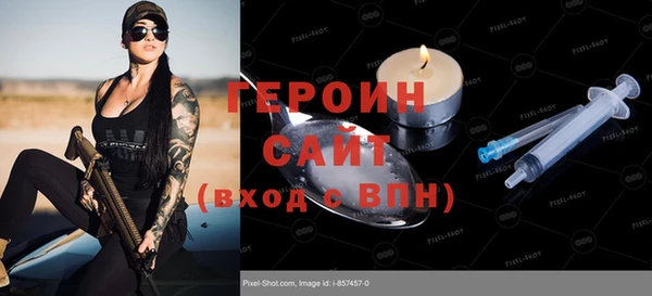 индика Новозыбков