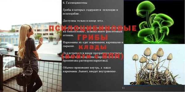 MDMA Premium VHQ Аркадак